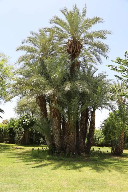Guest house Casa Gyla Hotel Marrakesh