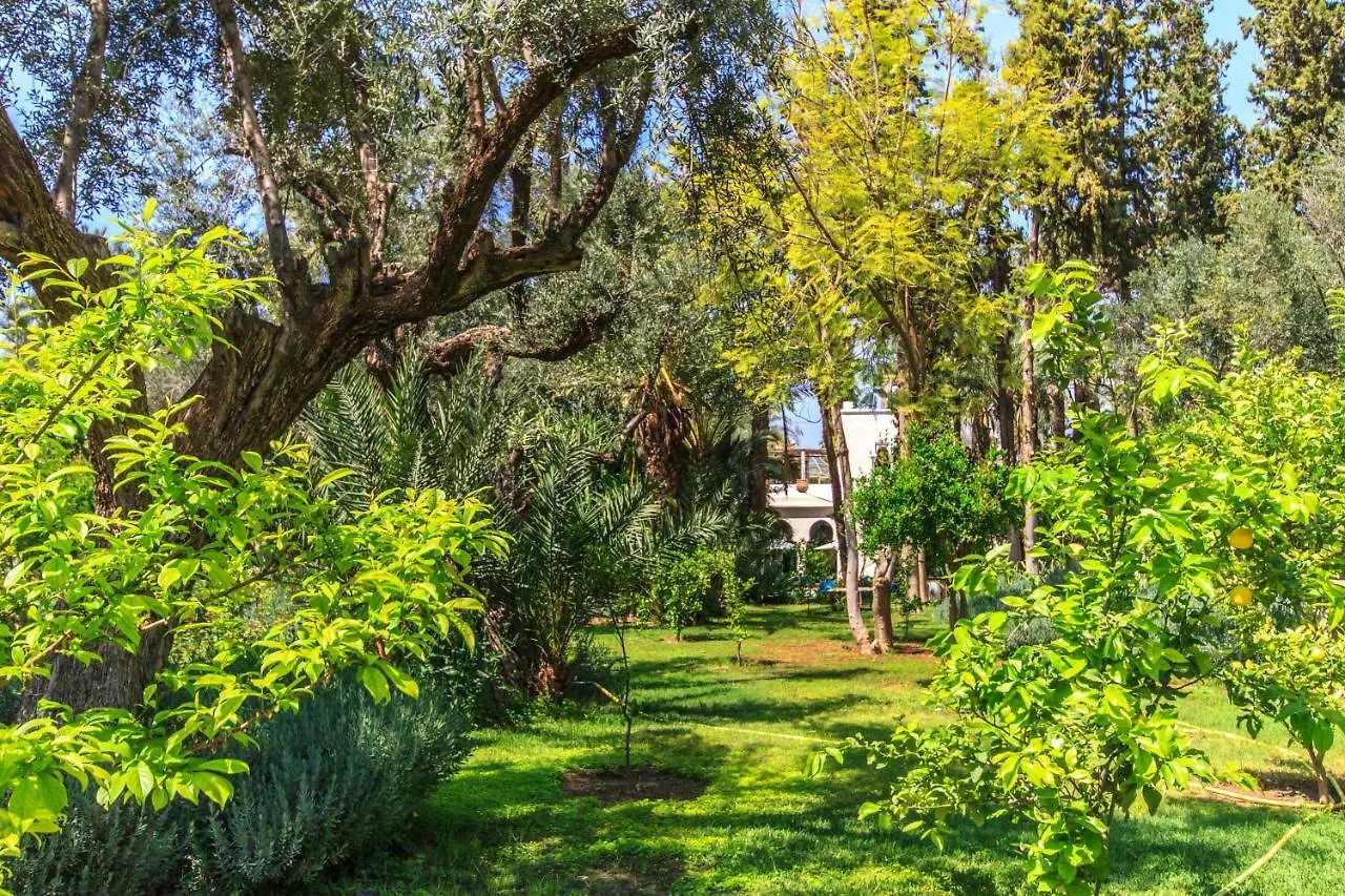 *** Guest house Casa Gyla Hotel Marrakesh Morocco